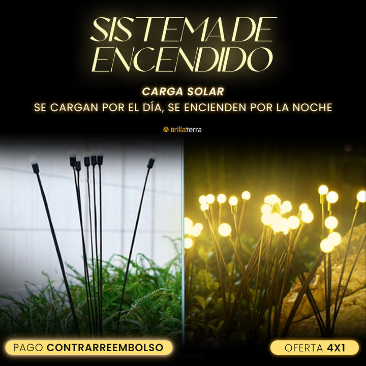 Luz Solar Efecto Luciérnaga